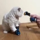 So violent
