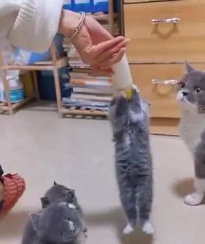 dis mine