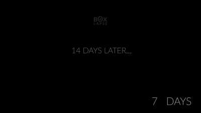 Top 12 plant "unboxing" timelapse. 1600 days in 8min | Boxlapse