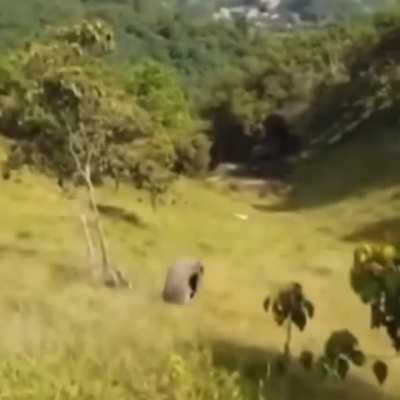 HMB while I rolling down hill.