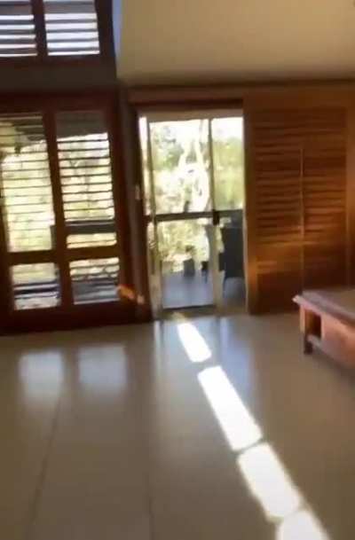 to feed the bird