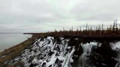 ? Genome analysis reveals 46,000-year-old worms defrosted from the Siberian permafrost to be a new species of nematodes