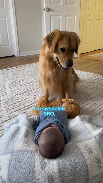 This is so wholesome