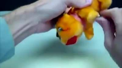 A normal wind-up dog toy