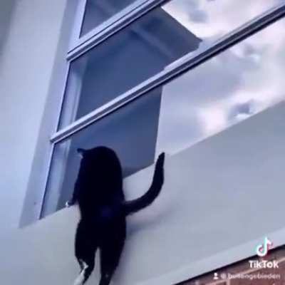 Mission impossible.