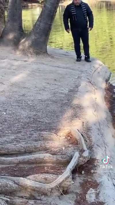 Gru spotted IRL!