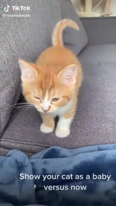 Awww...sooooo cute