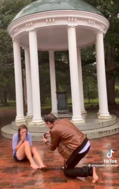 A Great proposal.