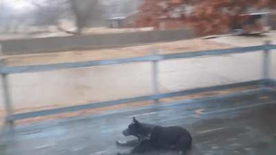 to stop