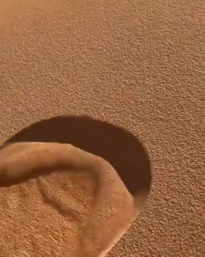 ? The way the sand falls on this sand dune in the Sahara