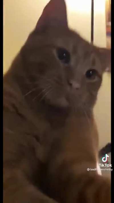 A demon spawn