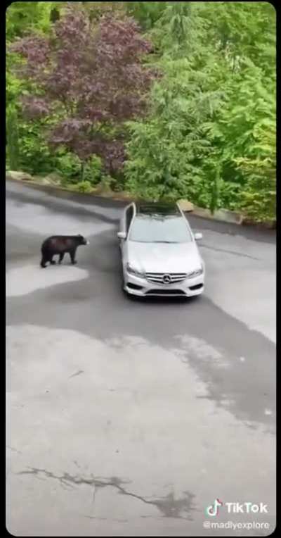 "just run down there"