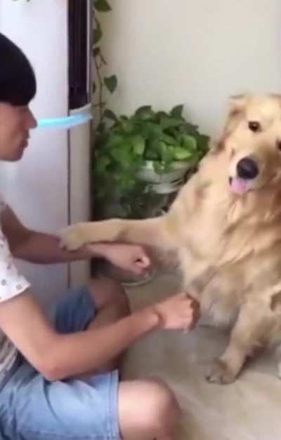 S A D B O Y E