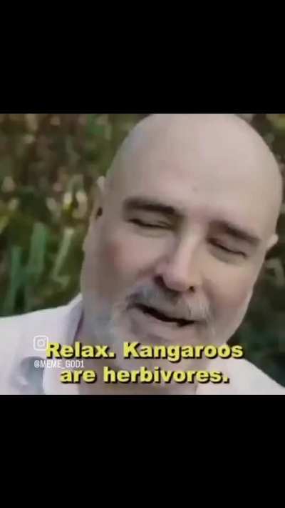 Mmm vegetables