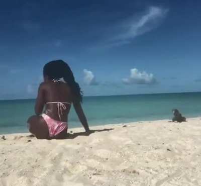 Doing Yoga?‍♀️at the beach