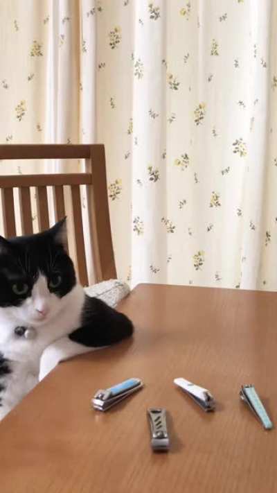 Maybe maybe maybe