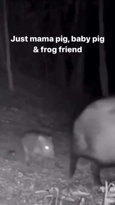 ? Mama Pig, Baby Pig and Mr. Frog out for a stroll.