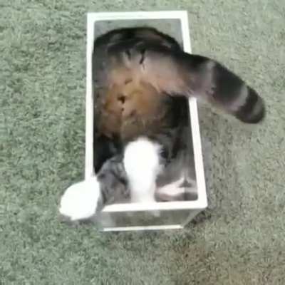 what is this kind of liquid?!