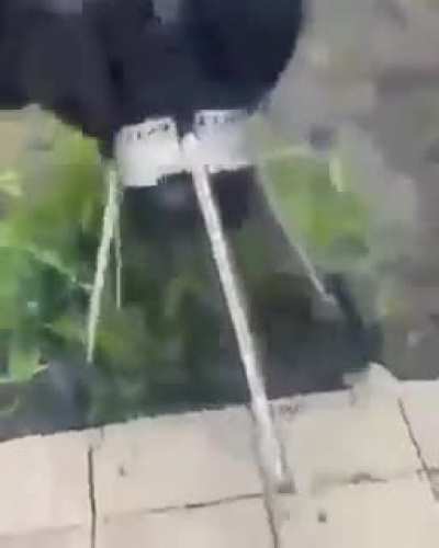 PAIN