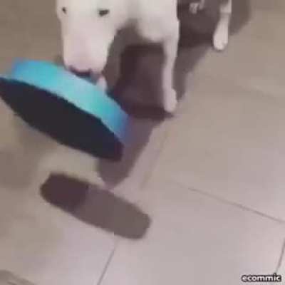Innovation
