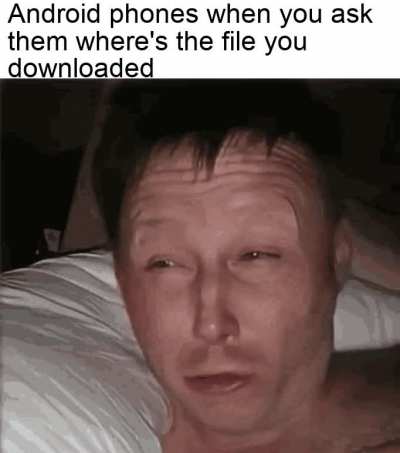 Got no clue, bro...