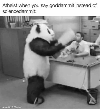 SCIENCEDAMMIT