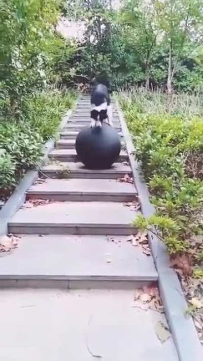 Damn, That’s Pretty Impressive ??