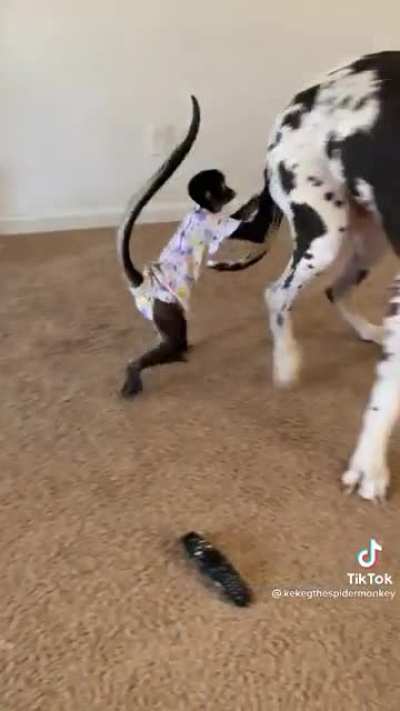 ?