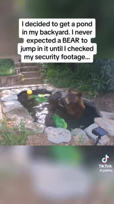 People install a pond in their backyard and a bear decided to chill in it