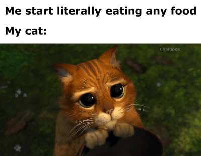 Is for me? ??