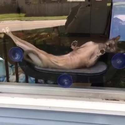 "Draw me like one of your French girls."