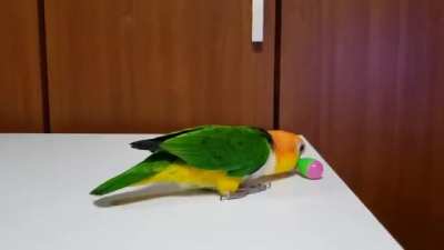 Birbrator