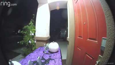 Candy thief