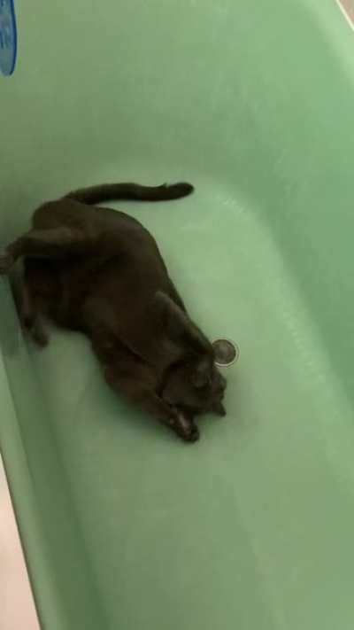 Bath taps!!! And the little low vibrating noise in the back is my cat purring against the tub?