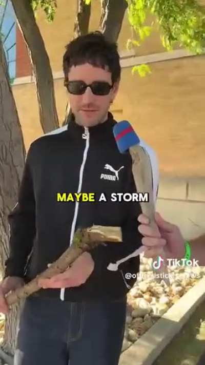 Stick Review