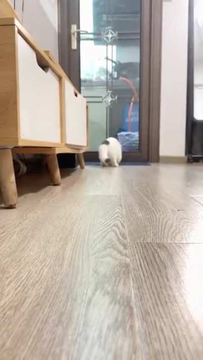 Smol on Fetch