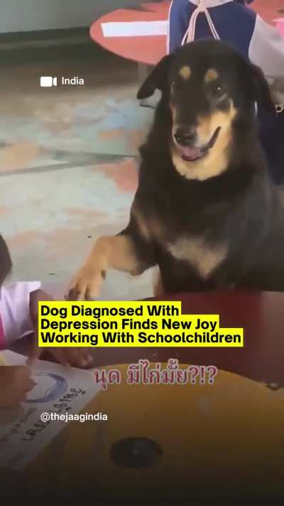 We don't deserve dogs ❤️?