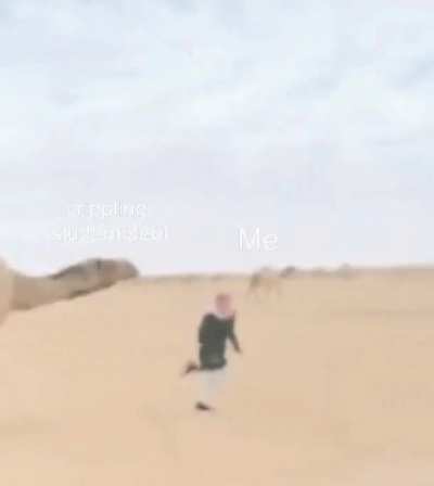 i can't take it anymore
