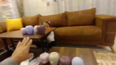 kids are fucking stupid