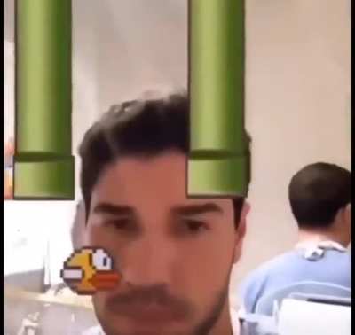 Flappy bird