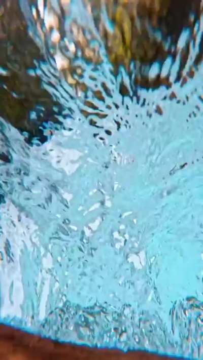 ? The clarity of the water in this Alaskan stream