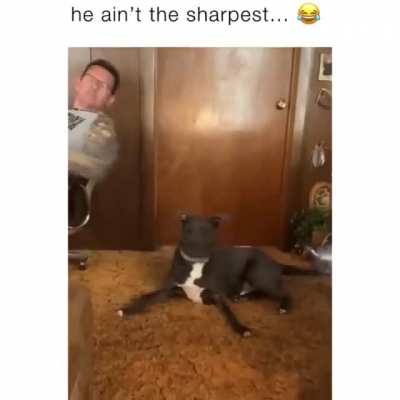 He ain't the sharpest