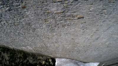 ? Ibex Defying Gravity ?