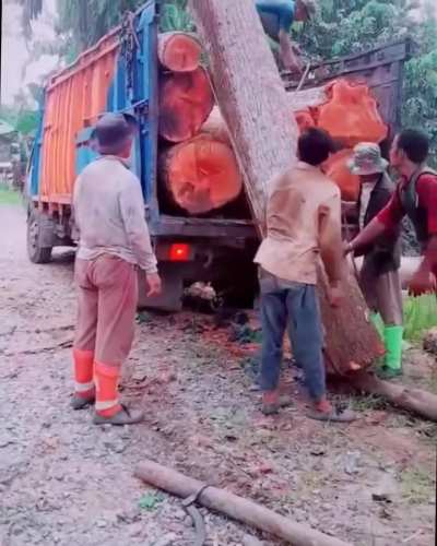 How to load a huge log onto the truck without hoisting equipment
