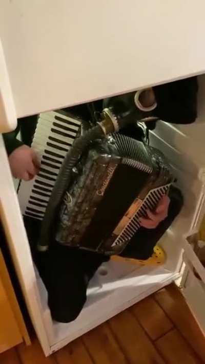 Lets look inside the fridge
