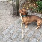 "No worries, I got this."