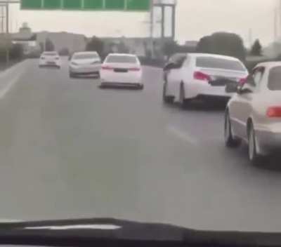 Snake on the road