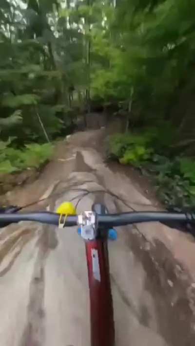 Professional cycler riding down the hill