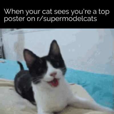 a very happy boi indeed