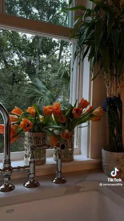 How your cut flowers stay fresh longer in the vase ? ???????